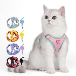 Dog Harness Set Manufacturer - OEM/ODM Custom Logo Colorful Mesh Breathable