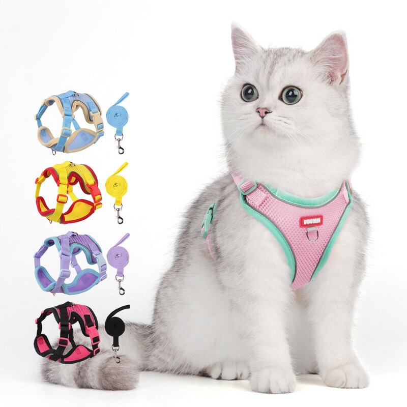 Dog Harness Set Manufacturer - OEM/ODM Custom Logo Colorful Mesh Breathable