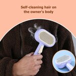 Pet Hair Remover Brush Manufacturer - OEM/ODM 2 in 1 Self Cleaning Brush