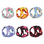 Dog Harness Set Manufacturer - OEM/ODM Custom Logo Colorful Mesh Breathable