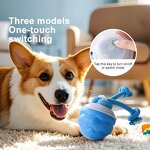 Interactive Dog Toy Factory - OEM/ODM Squeaky Ball Automatic Rolling