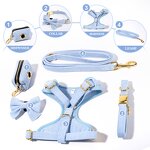 Dog Harness Set Factory - OEM/ODM Luxury No Pull Leash Set