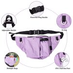 Dog Harness Set Factory - OEM/ODM Custom Logo Eco Friendly Set