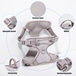 Dog Harness Set Manufacturer - OEM/ODM Luxury No Pull Leash Set