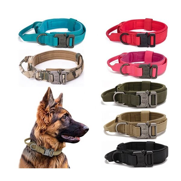 Dog Collar Factory - OEM/ODM High Quality Heavy Duty Tactical Set