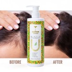 Thickening Shampoo Supplier - OEM Biotin Ginger Collagen Anti-loss