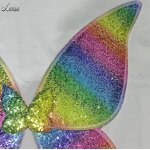 Butterfly Wings Manufacturer - OEM/ODM Rainbow Sequined Performance Accessories