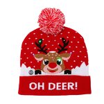 Christmas Beanie Manufacturer - OEM/ODM Custom LED Beanie Bulk