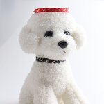 Cat Collar Manufacturer - OEM/ODM Custom Webbing Collar with Pendant