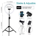 Tripod Manufacturer - OEM/ODM Custom Mini Portable Phone Tripod Stand