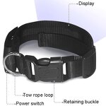 Pet Collar Manufacturer - OEM/ODM Custom Rechargeable LED Collar