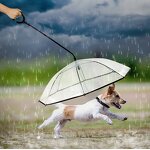 Pet Umbrella Leash Manufacturer - OEM/ODM Custom Adjustable Dog Leash