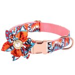 Pet Collar Manufacturer - OEM/ODM Custom Adjustable Engraved Collar