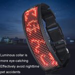 Pet Collar Manufacturer - OEM/ODM Custom Rechargeable LED Collar