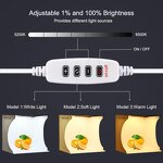 Photo Studio Box Manufacturer - OEM/ODM Custom 30cm Mini Studio Ring Light