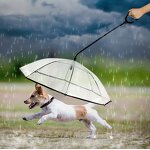 Pet Umbrella Leash Manufacturer - OEM/ODM Custom Adjustable Dog Leash