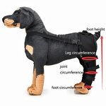 Dog Leg Guard Manufacturer - OEM/ODM Custom Knee Protective Cover