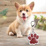 Metal Pet Tag Manufacturer - OEM/ODM Custom Zinc Alloy Flashing Powder Dog Tag
