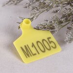 Cow Ear Tag Manufacturer - OEM/ODM Custom Plastic Keychain Insurance Sign