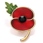 Brooch Pin Manufacturer - OEM/ODM Custom Enamel Crystal Poppy Pin