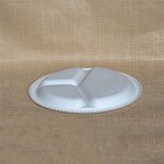 Biodegradable Food Plate Supplier - Custom 10 Inch 3 Compartment