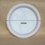 Corn Starch Plates Factory - Custom 10 Inch Eco-friendly OEM