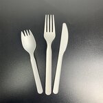 Compostable Cutlery Set Factory - Custom Biodegradable Flatware