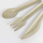 PLA Plastic Utensils Supplier - Custom Compostable Cutlery OEM