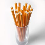 Paper Straw Manufacturer - Custom Colorful Drinking Wholesale