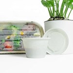 Corn Starch Container Factory - Custom 4oz Mini Seasoning Cup