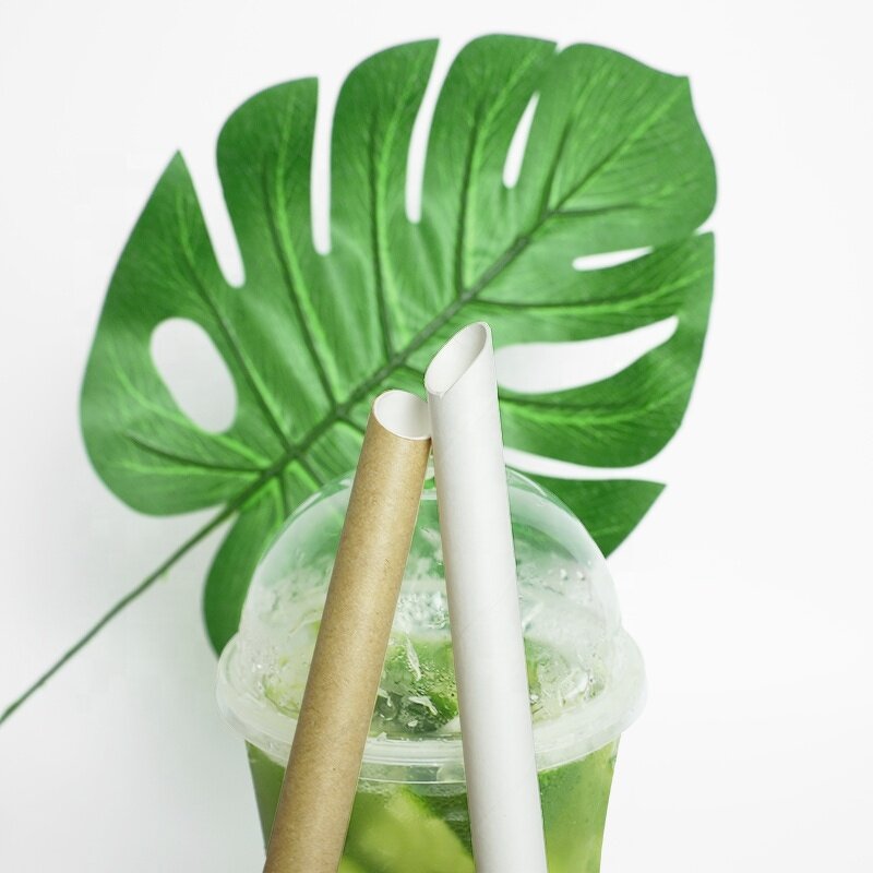 Kraft Paper Straw Supplier - Custom Christmas Decoration