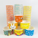 Mini Ice Cream Cup Supplier - Custom Clear Reusable with Spoon