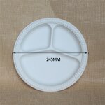 Biodegradable Food Plate Supplier - Custom 10 Inch 3 Compartment