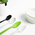 Black Soup Spoon Supplier - Custom Disposable Biodegradable