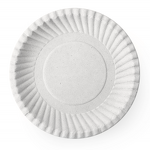 Sugarcane Pulp Plate Factory - Custom 10Inch Microwavable Dish