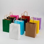 Craft Gift Paper Bag Factory - Custom Eco-Friendly Washable