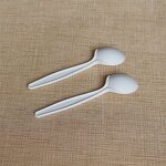 Corn Starch Soup Spoon Factory - Custom Compostable White OEM