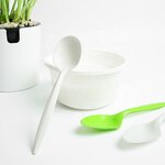 Black Soup Spoon Supplier - Custom Disposable Biodegradable