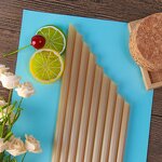 Sugarcane Fiber Straw Factory - Custom Plant Based Compostable