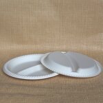 Cornstarch Food Plate Factory - Custom 8 Inch 2 Compartment OEM