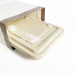 Sugarcane Tray Factory - Custom 4 Compartments with Lid OEM