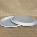 Cornstarch Food Plate Supplier - Custom 11 Inch Restaurant OEM