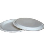 Cornstarch Food Plate Supplier - Custom 11 Inch Restaurant OEM