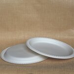 Paper Plates Supplier - Custom 9inch Hot Food Compartment
