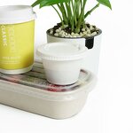 Corn Starch Container Factory - Custom 4oz Mini Seasoning Cup