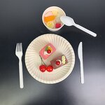 Compostable Cutlery Set Factory - Custom Biodegradable Flatware