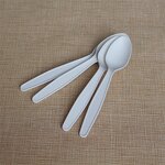 Ice Cream Spoons Supplier - Custom Disposable Dessert Shop