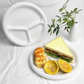 Biodegradable Food Plate Supplier - Custom 10 Inch 3 Compartment
