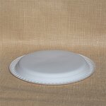 Paper Plates Supplier - Custom 9inch Hot Food Compartment