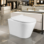 Wall Hung Toilet Manufacturer - OEM/ODM Custom European Standard Rimless WC